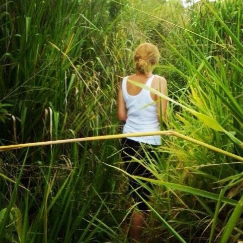 Carol Hanlon Photo 9
