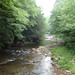Virginia Gandy Photo 14