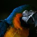 Jerry Feathers Photo 12