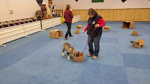 Linda Spengler Photo 15