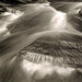 Donald Black Photo 42
