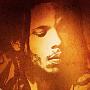 Stephen Marley Photo 20