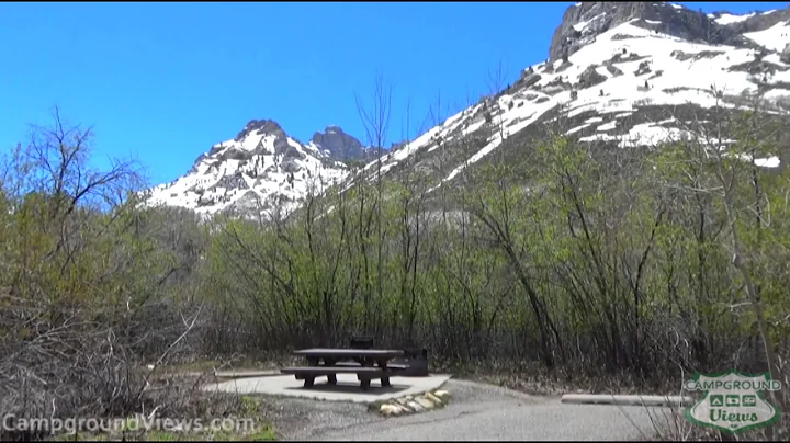 Thomas Elko Photo 9