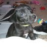 Stacy Mantz Photo 3