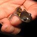 Mark Beekman Photo 26