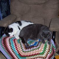 Peggy Joyner Photo 4