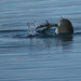 Douglas Coots Photo 16