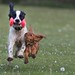 Maggie English Photo 22