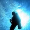 Mark Diver Photo 4