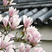 Chris Blossom Photo 21