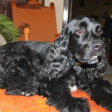 Alma Armenta Photo 12