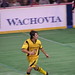 Craig Scheer Photo 29