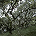 Michael Coons Photo 38