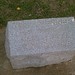 Susan Ruddick Photo 8