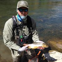 Brian Lindquist Photo 4