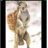 Brandon Renfrow Photo 1