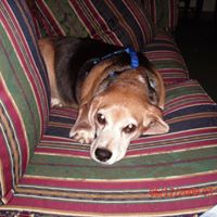 Sandra Parmer Photo 2