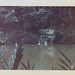 Janet Cotton Photo 27