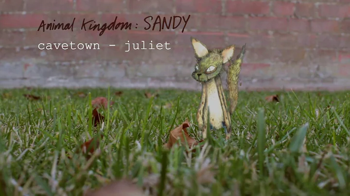 Juliet Wiley Photo 6