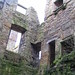 David Sibbald Photo 18