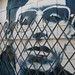 Stephen Graff Photo 38