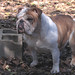 Gracie Murphy Photo 28
