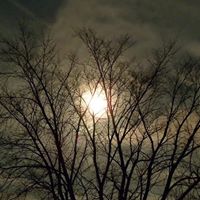 Joshua Walter Photo 3