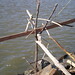 Francis Cline Photo 13