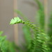 Kimberly Fern Photo 28