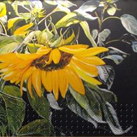 Helen Ferris Photo 7
