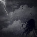 Paul Noia Photo 14