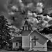 Allan Stevens Photo 35
