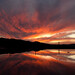 John Rosati Photo 29