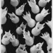 Richard Buswell Photo 28
