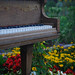 Roderick Fair Photo 17