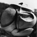 Eric Bohl Photo 22