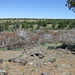 John Hartog Photo 26