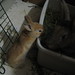 Terra Foster Photo 27