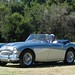 Mark Palos Photo 30