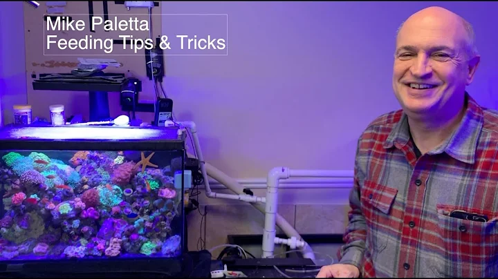 Michael Paletta Photo 18