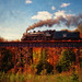Robert Hunnicutt Photo 34