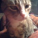 Mitzie Brown Photo 27