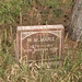 William Maples Photo 31