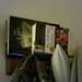 Julia Jackson Photo 40