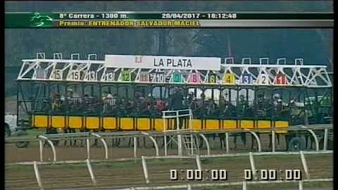 Salvador Maciel Photo 20