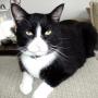 Susan Bergeron Photo 23