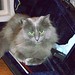 Wanda Case Photo 40