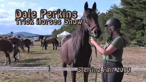 Dale Perkins Photo 31