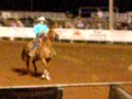 Tracy Timms Photo 22
