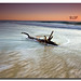 Randell Wood Photo 11